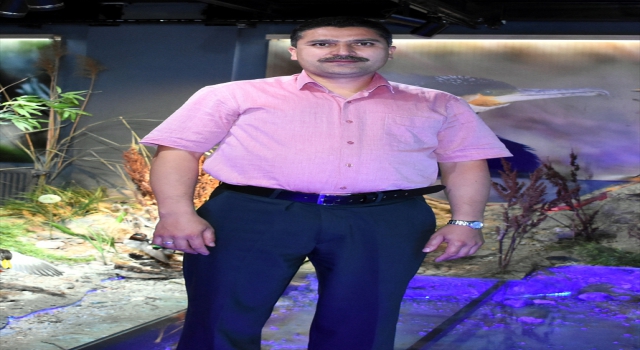 Kırşehir Kervansaray Dağı’nda Anadolu yaban koyunu yetiştirilecek