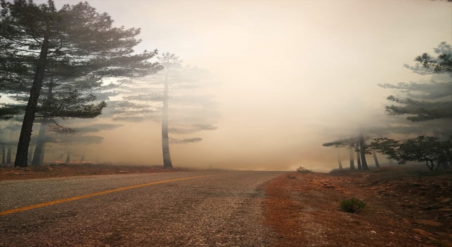 Kayseri’de ormanlık alanda yangın çıktı