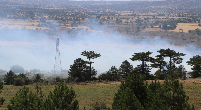 Karaman’da ormanlık alanda çıkan yangın söndürüldü