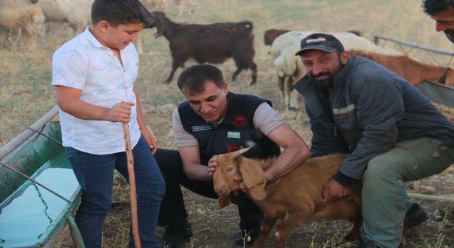 Kırşehir’de 5 yılda küçükbaş havan sayısı yaklaşık yüzde 50 arttı