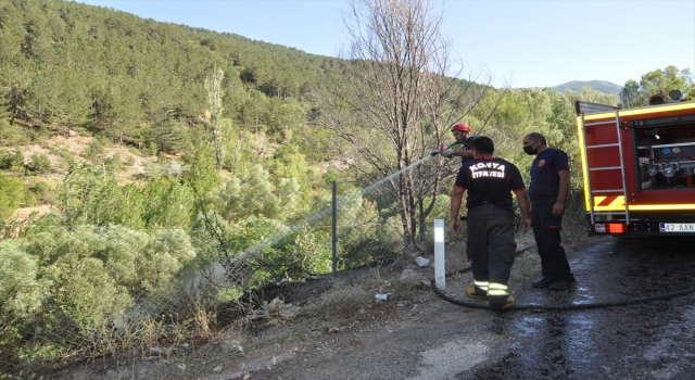 Akşehir’de piknik alanında ot yangını