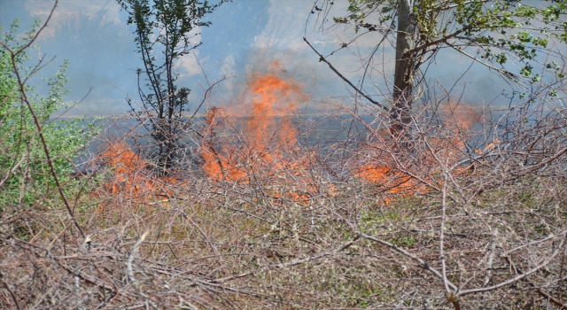 Karaman’da tarlada çıkan, elma bahçesine de sıçrayan yangın söndürüldü