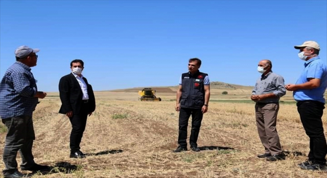 Türkiye’nin ”nohut deposu” Kırşehir’de hasat devam ediyor