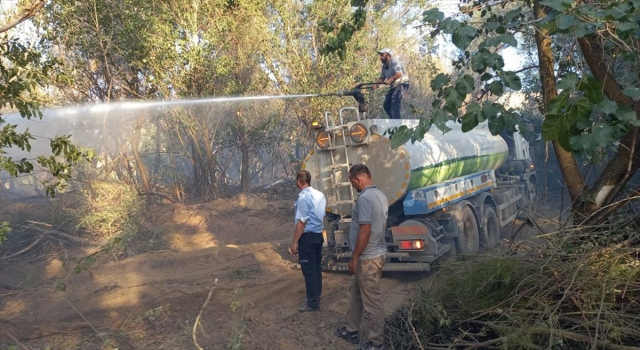 Nallıhan’da ormanlık alandaki yangın söndürüldü