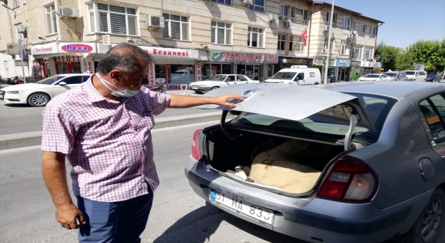 Otomobilin bagajında havasız kalan küçükbaşı vatandaşlar kurtardı