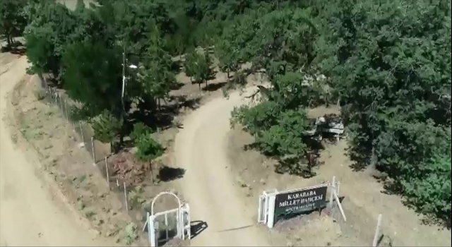 Kırıkkale’de ormanlar havadan ve karadan denetleniyor