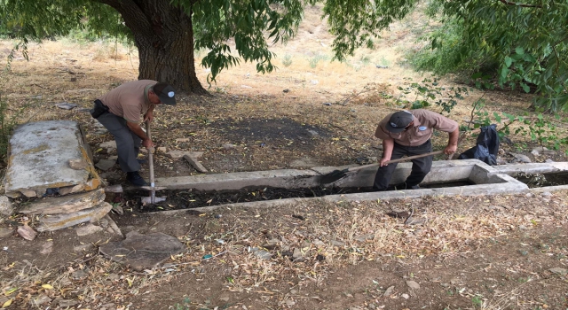 Kırşehir Kervansaray Dağı, Anadolu yaban koyunları için hazırlanıyor