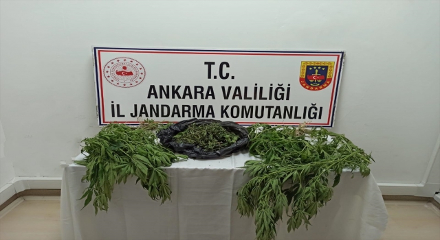 Başkentte jandarma ekiplerince düzenlenen uyuşturucu operasyonlarında 2 kişi yakalandı