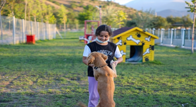 ”Patiyol” Kayserili hayvanseverlerden ilgi görüyor