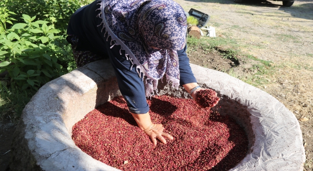 Dağlardan toplanan sumak dibeklerde dövüp işledikten sonra tüketiciye ulaşıyor