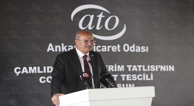 Çamlıdere höşmerim tatlısı coğrafi işaret belgesi aldı