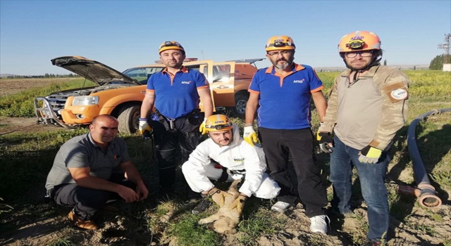 Niğde’de kuyuya düşen yavru köpeği AFAD kurtardı