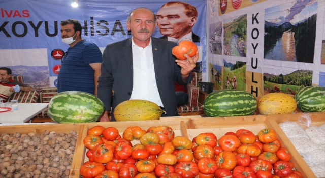 Sivas’ta ata tohumundan üretilen ”Koyulhisar domatesi” coğrafi işaret tescil belgesi aldı