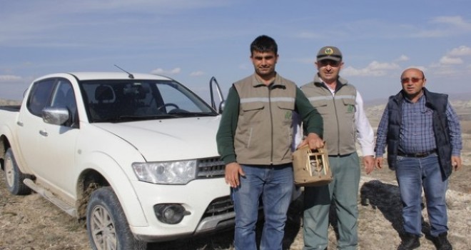 Keklik avcıları kaçamadı