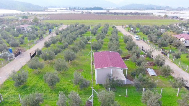 İzmir Menderes’te ’hobi bahçeleri’ne yıkım uyarısı!