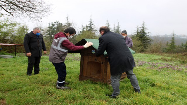 Dünya Sokak Hayvanları Günü’nde Sakarya’dan 20 yeni yuva