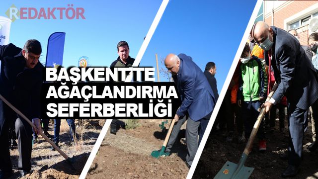 Başkent'te binlerce fidan toprakla buluştu