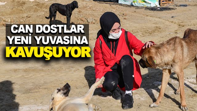 BAŞKENT’TE CAN DOSTLAR YENİ YUVASINA KAVUŞACAK