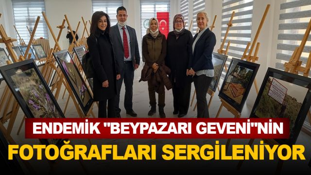 Endemik "Beypazarı geveni"nin fotoğrafları sergileniyor