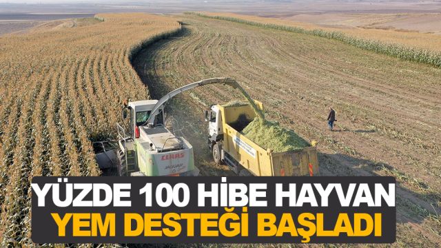 ABB KADIN ÜRETİCİLERİN YANINDA: YÜZDE 100 HİBE HAYVAN YEM DESTEĞİ BAŞLADI