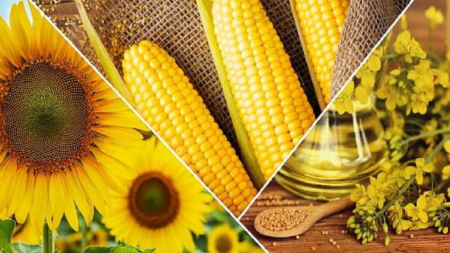 Cargill'in "1000 Çiftçi 1000 Bereket" programının 2021 sonuçları paylaşıldı