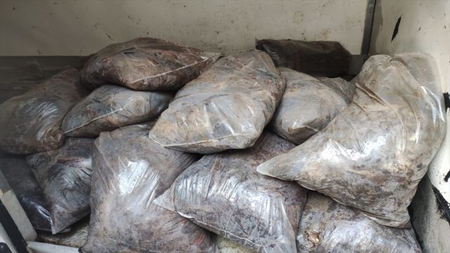 Kayseri'de ruhsatsız çalışan hayvansal yan ürün işletmeleri denetlendi