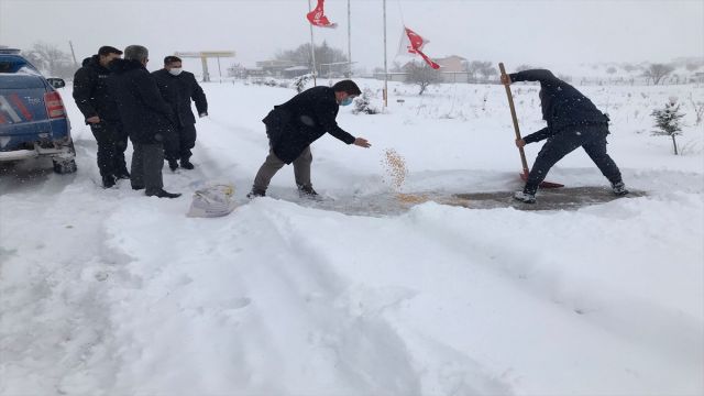 Kazımkarabekir Kaymakamı Çıkrık sokak hayvanlarına yem bıraktı