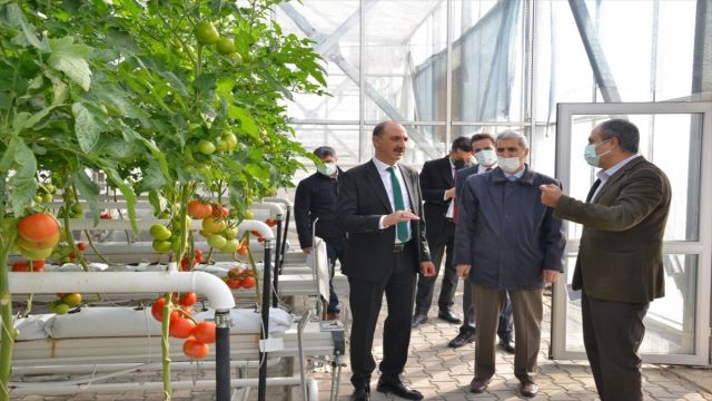 Kırşehir'de jeotermal Ar-Ge serasında mikrobiyal uygulamalar araştırılıyor