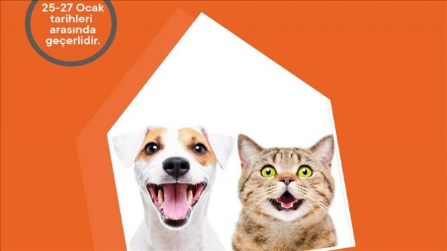Koçtaş'tan evcil ve sokak hayvanları için indirim kampanyası