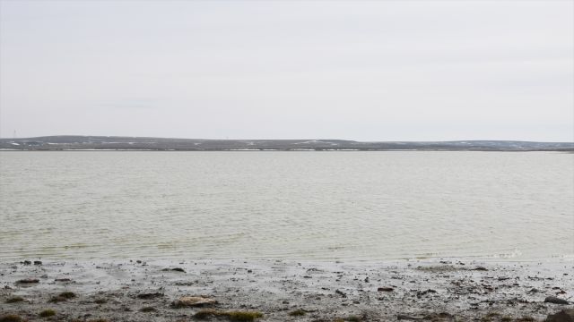 Konya'daki Küçük Göl'de su seviyesi yağışlarla yükselmeye başladı