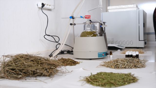 Sivas'ta distilasyon ve uçucu yağ üretim laboratuvarı açıldı