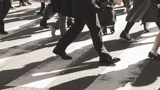 TZOB Genel Başkanı Bayraktar: "Rusya-Ukrayna buhranı gıda fiyatlarını olumsuz etkileyecek"