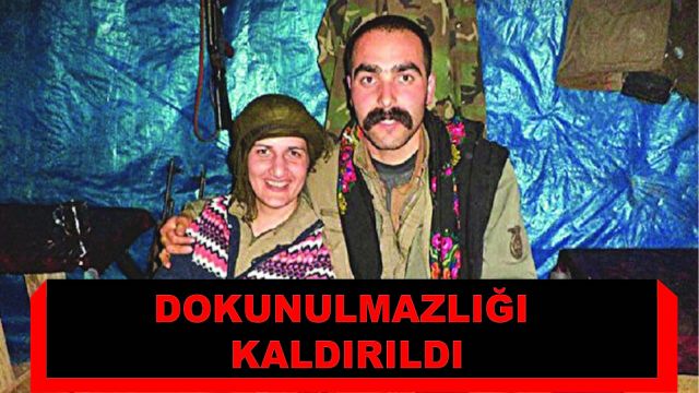 HDP'li Semra Güzel'in dokunulmazlığı kaldırıldı...