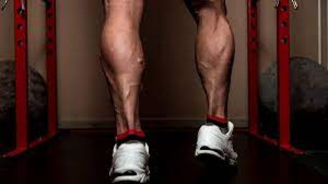 Kalf Nedir, Kalf Kası Ne İşe Yarar? Görevi Ve Özellikleri Nelerdir?