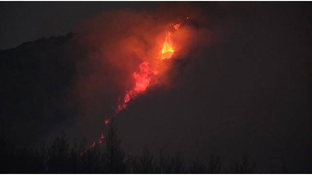 Manisa'da ot yangını orman yangınına dönüştü!