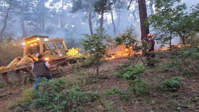Kemer Orman Yangınında son durumu Bakan Yardımcısı Veysel Tiryaki açıkladı...
