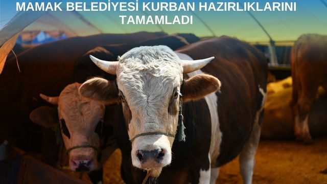 Mamak Belediyesi Kurban Hazırlıklarını Tamamladı