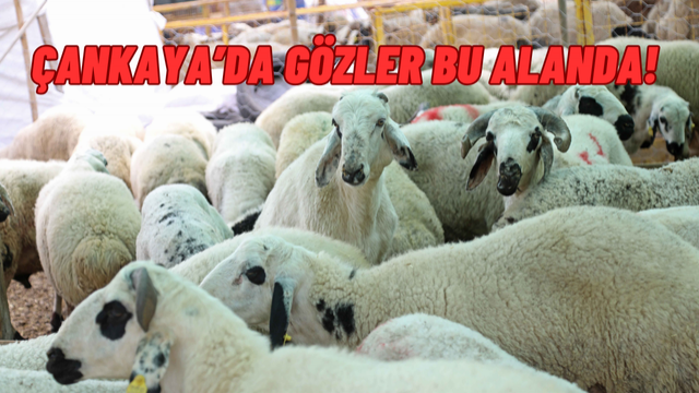 Çankaya Belediyesi’nden Bayrama Hijyenik ve Güvenli Alan