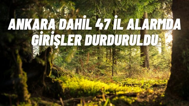 Orman Yangını Alarmı: Ankara Dahil 47 İlde Ormanlara Giriş Yasaklandı