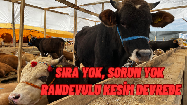 SİNCAN’DA KURBAN BAYRAMI HAZIRLIKLARI TAMAM