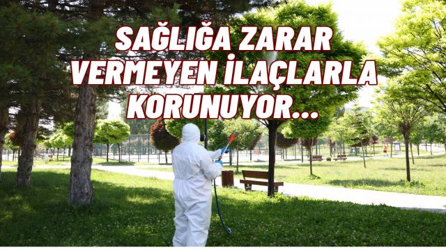 Çankaya’da Kent Sağlığı İçin İlaçlama Faaliyetleri Hız Kesmiyor