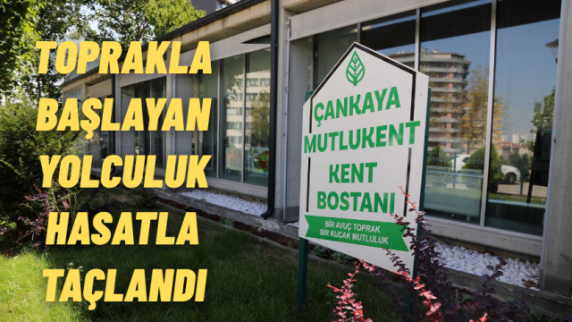 Çankaya’nın Kent Bostanlarında Emekler Meyvesini Verdi