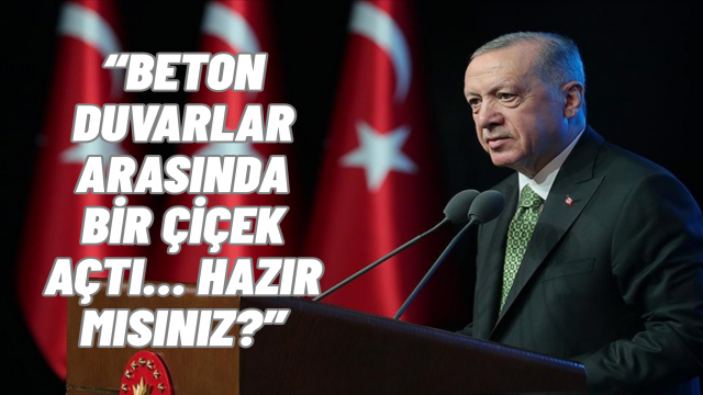 Cumhurbaşkanı Erdoğan, NeXT Sosyal’e Katıldı: İlk Paylaşımı Dikkat Çekti