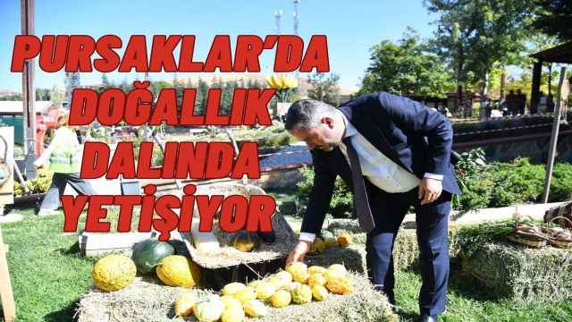 Pursaklar’da Tarladan Sofraya Yerli Lezzet