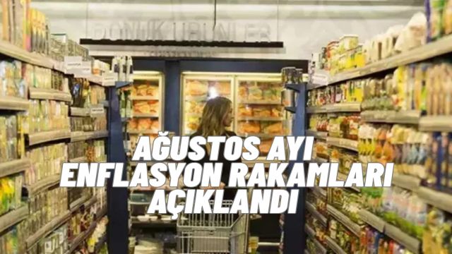 TÜİK Ağustos Enflasyonunu Açıkladı: Yıllık TÜFE %33,52, Yİ-ÜFE %24,19