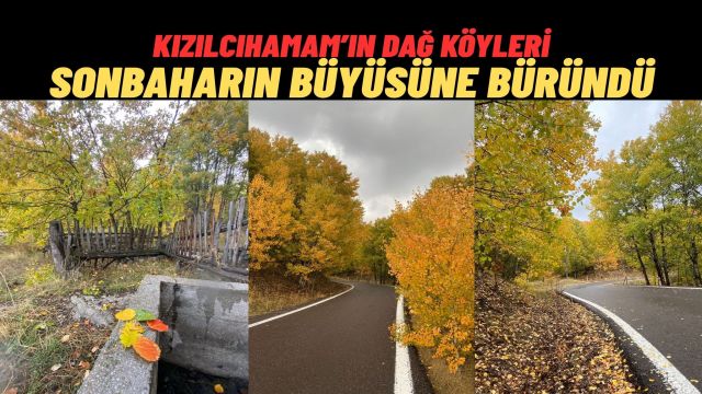 Ankara’da Sonbahar Sadece Mevsim Değil, Bir Renk Şöleni