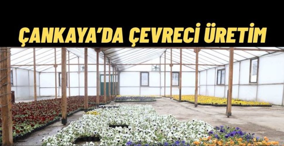 Çankaya Belediyesi Suya Duyarlı Çiçek Üretimiyle Örnek Oluyor