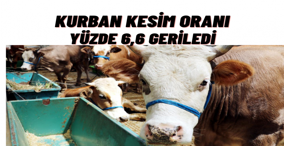 Kurban Kesenlerin Sayısı Yüzde 6,6 Azaldı
