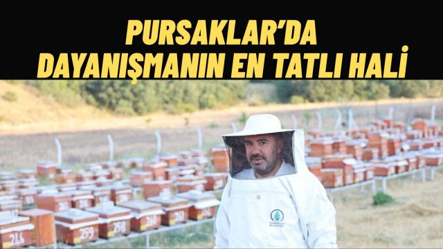 Ankara'da Saf Bal Hasadı Başladı Üretilen Ballar İhtiyaç Sahiplerine Ulaşacak