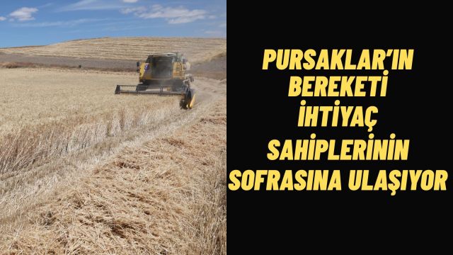 Pursaklar'da Bereketli Hasat Başladı